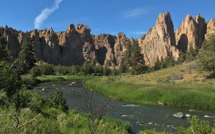 A river winds through tall green grass toward a dramatic rocky landscape in the background. 